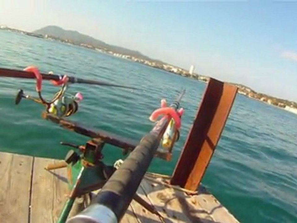 yvano peche a la daurade