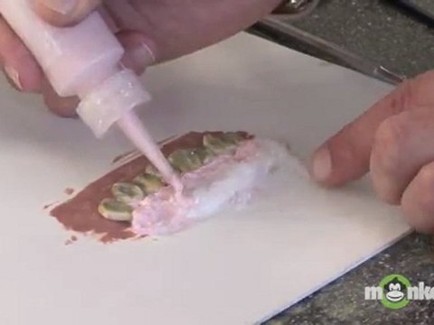 Embedding Zombie Teeth into Gums