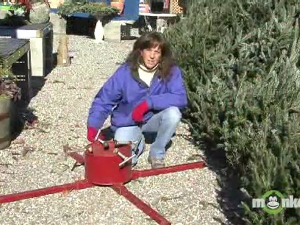 Christmas Tree Stand