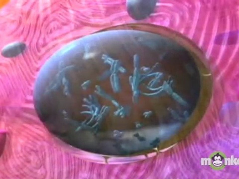 How is Ovarian Cancer Diagnosed?