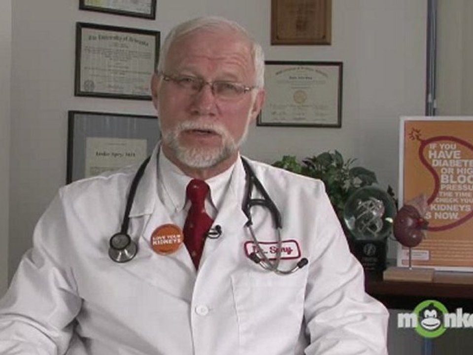Your Kidneys and What They Do