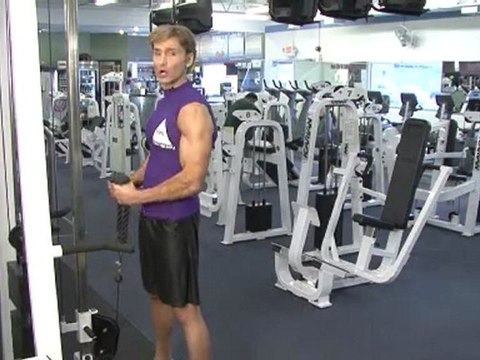 Arm Exercises - Cable Bicep Curls
