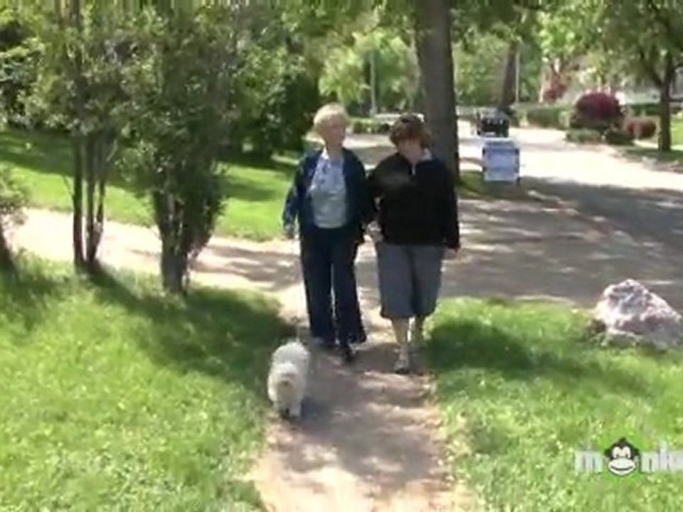 Elderly Cognitive Issues - Coping with Cognitive Problems