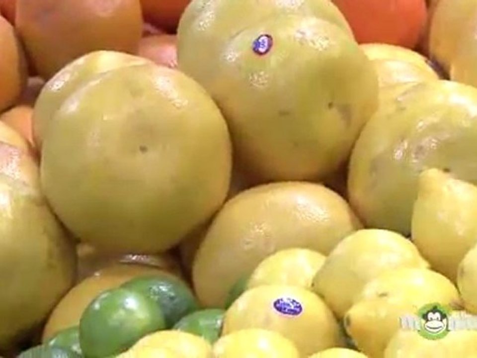 Eating a Balanced and Safe Diet