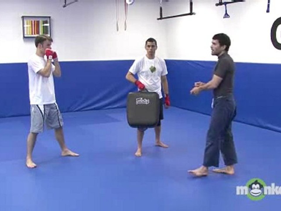 Muay Thai Kickboxing - How to Throw a Low Kick