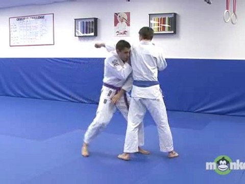 Beginning Brazilian Jiu Jitsu - Punches