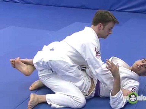 Beginning Brazilian Jiu Jitsu - Mounted Position Strikes