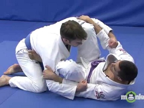 Beginning Brazilian Jiu Jitsu - Guard Posture