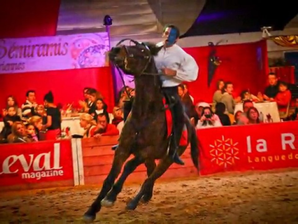 Jean Antoine Firmin, Spectacles Equestres