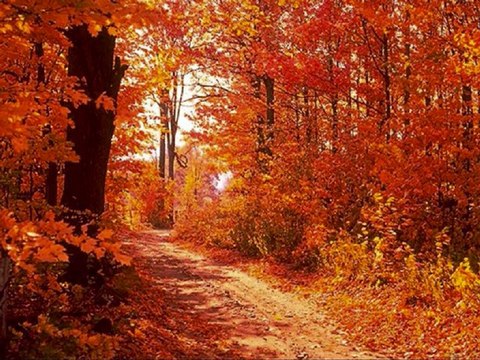 LeyLi LeyLi Can-TaneM