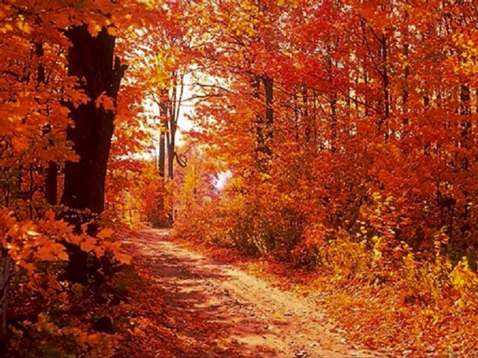 LeyLi LeyLi Can-TaneM