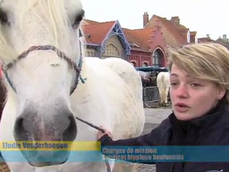 Opal'TV - Le JT - Edition du lundi 2 avril 2012