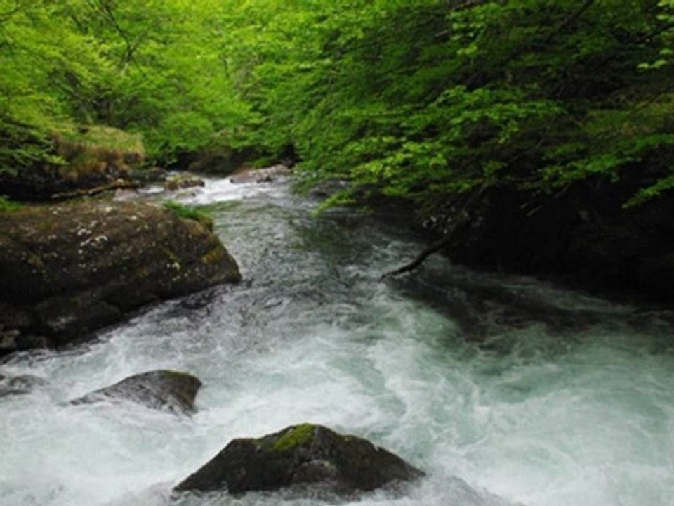 Les visages de PSDR - Interview de Frédéric Germain (DRAAF Midi-Pyrénées)