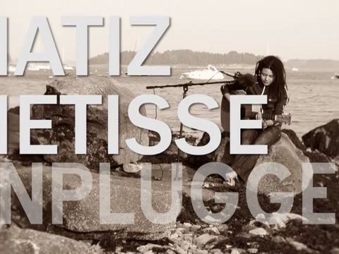 vsd 301 matiz metisse visual fx 2012