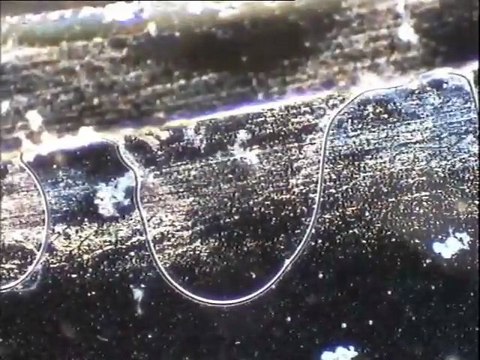 Etude comparative des boues activées du pilote Christopher de Colombes et du pilote de Spilette – examen des parties aérées et non aérées de ces pilotes, et d’échantillons d’eaux brutes, aérées ou non de Spilette