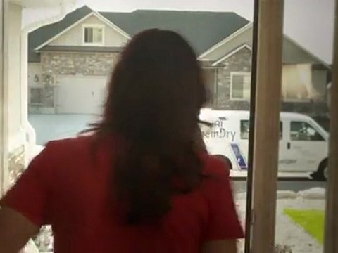 Bomar Chem-Dry Carpet Cleaning - Pet Stains!