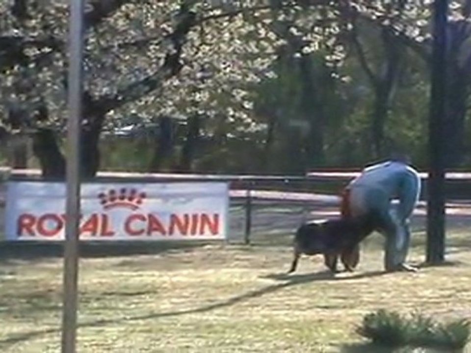 selectif ring 2012 grenoble garde au ferme