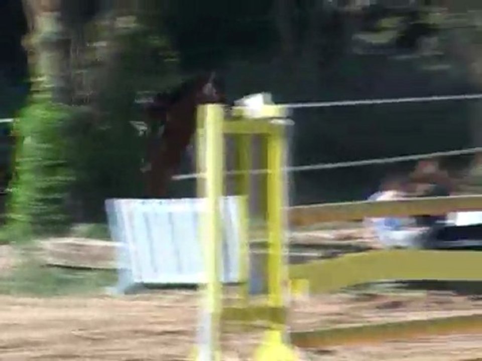 Haras de La Coste (Lavezière avril 2012...1m15)