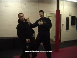 ideas for straight punch - Wing Tsun Training