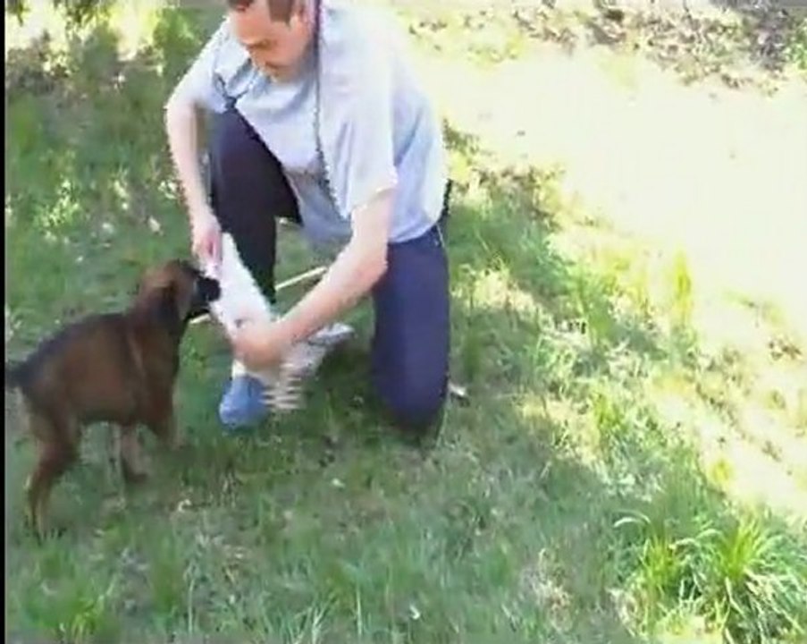 Hitack bientot 2 mois