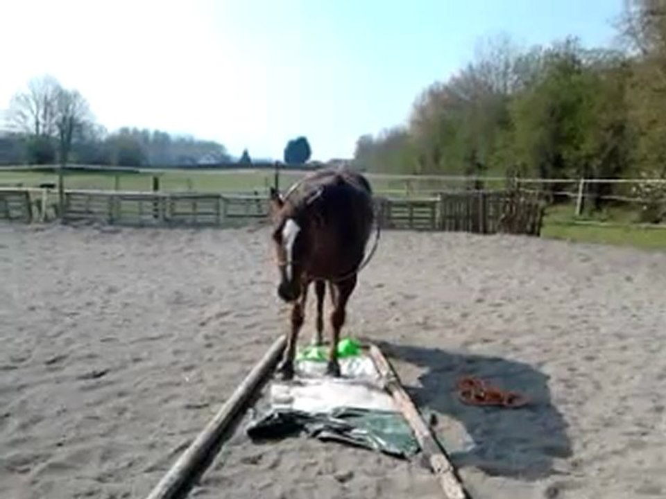 Pucky séance à pied le 3.4.2012