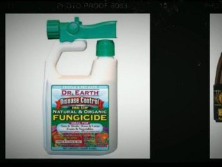 Just When You Think You Have Everything...