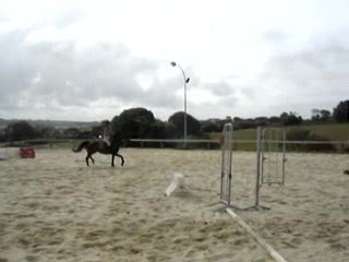 Kalinette d'amour et Erell, Ecuries de Lannilis