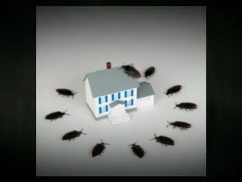 Bailey's Termite & Pest Control Inc. - (205) 426-2847