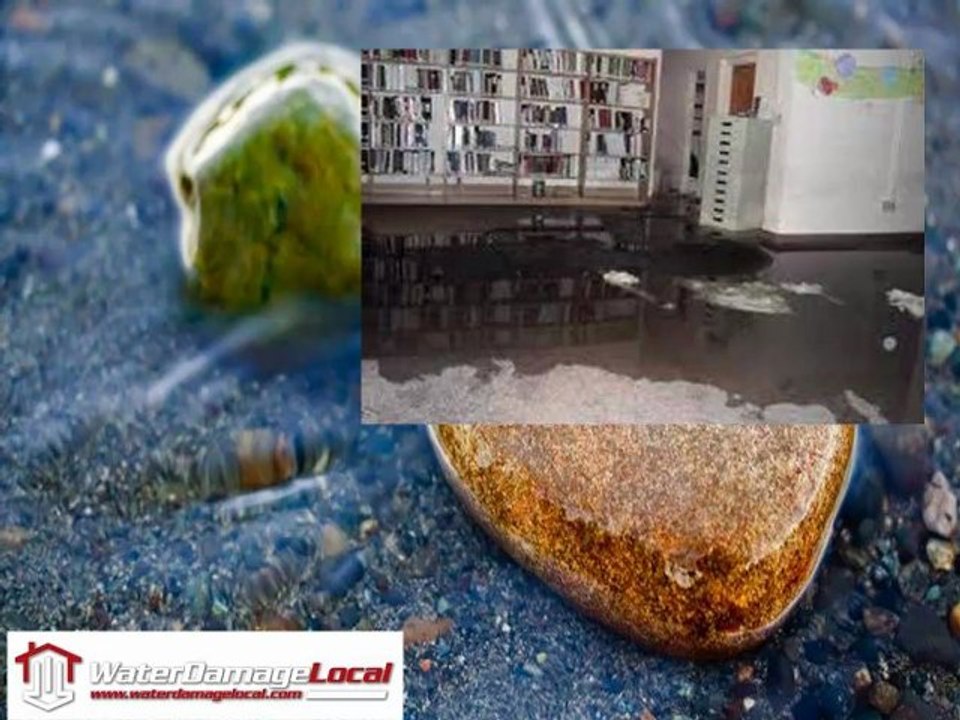 Water Damage Company Clearwater