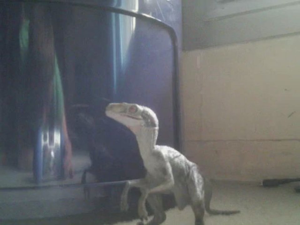 JURASSIC PARK RAPTOR