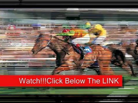 Races from the United States Horse Racing Live Stream