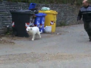 Helodie della rocca dei patous... 3 mesi :-))