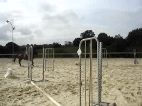 Kalinette d'amour et Erell, Ecuries de Lannilis