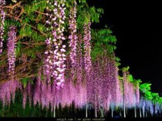 Bu sitede  camara kayıt   yapılıp tehtit  ediyorlar gelkudur.com