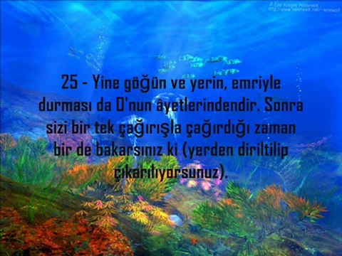 Hafız Reyhan ÖZKAN - Elmalı Hamdi Mealli Rum Suresi