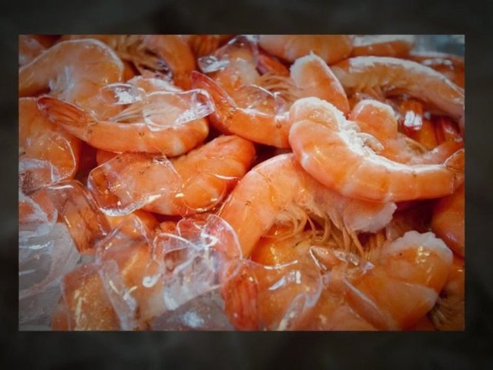 Fresh Catch Bistro-Fort Myers Beach