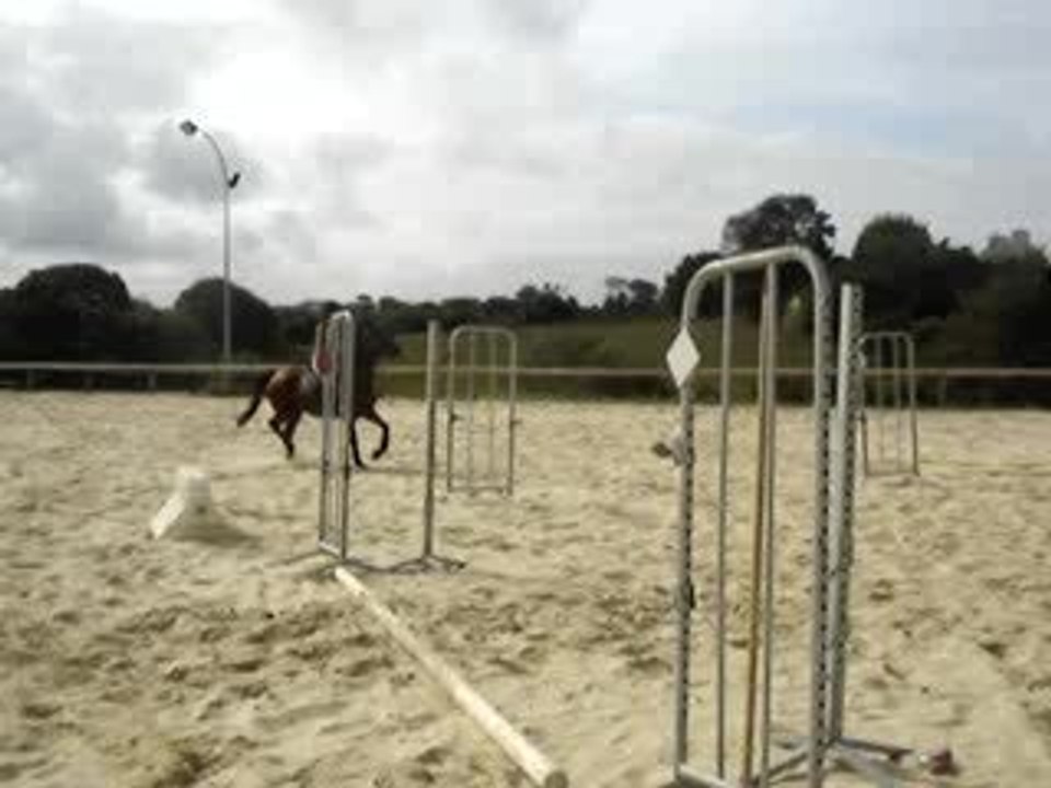 Kalinette d'amour et Erell, Ecuries de Lannilis