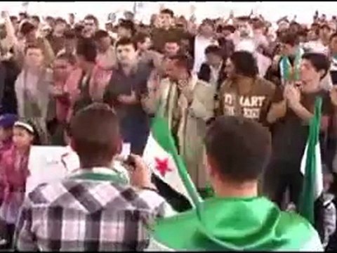 فري برس تنسيقية الثورة السورية في اليمن وقفة احتجاجية في صنعاء