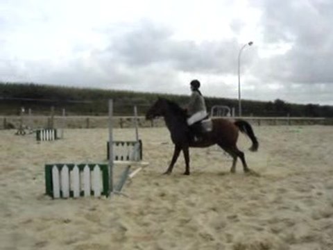 Kalinette d'amour et Erell, Ecuries de Lannilis