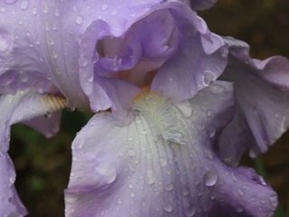 Perceptions and Expectations