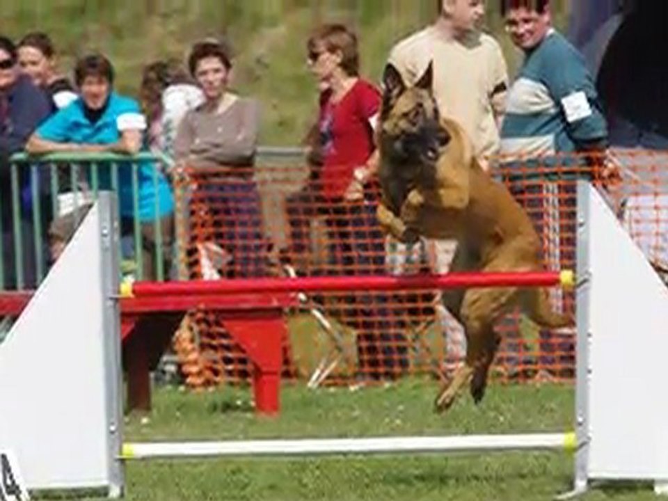 fulki dawnn briska st laurent