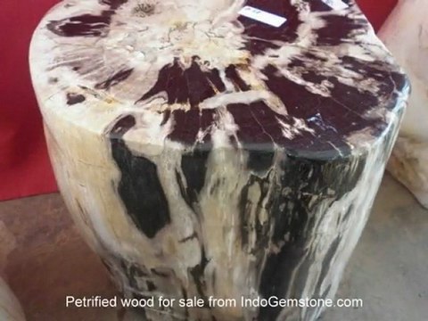 Petrified Wood Stools