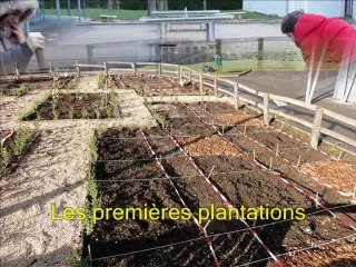 Jardin médiéval et développement durable