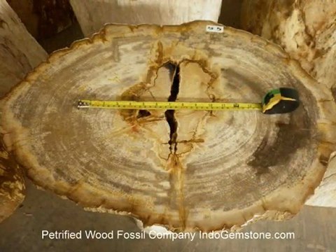 Petrified Wood Slabs, Petrified Wood Slices and Petrified Wood Tile