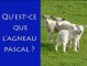 Qu'est-ce que l'Agneau Pascal ?