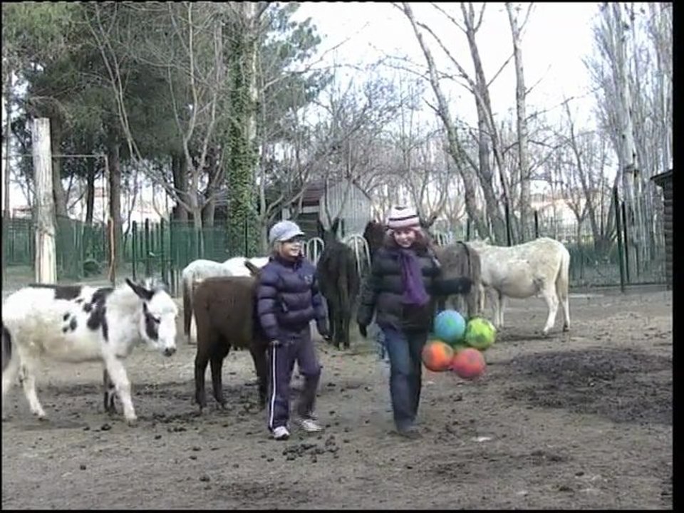 Exercices 2011-2012, par école Arago (CE2), Bompas (66)