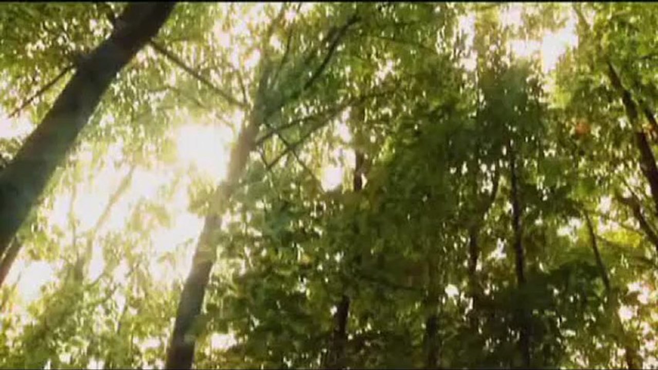 Norrda - Infinite Face