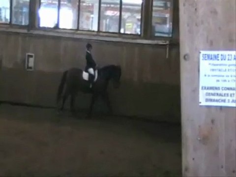 2012-04-01 dressage montfermeil Jocelyne Sydney C3