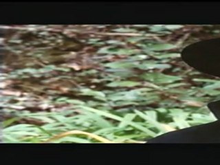 COMBAT D'AMOUR EN SONGE - Bande-annonce VF