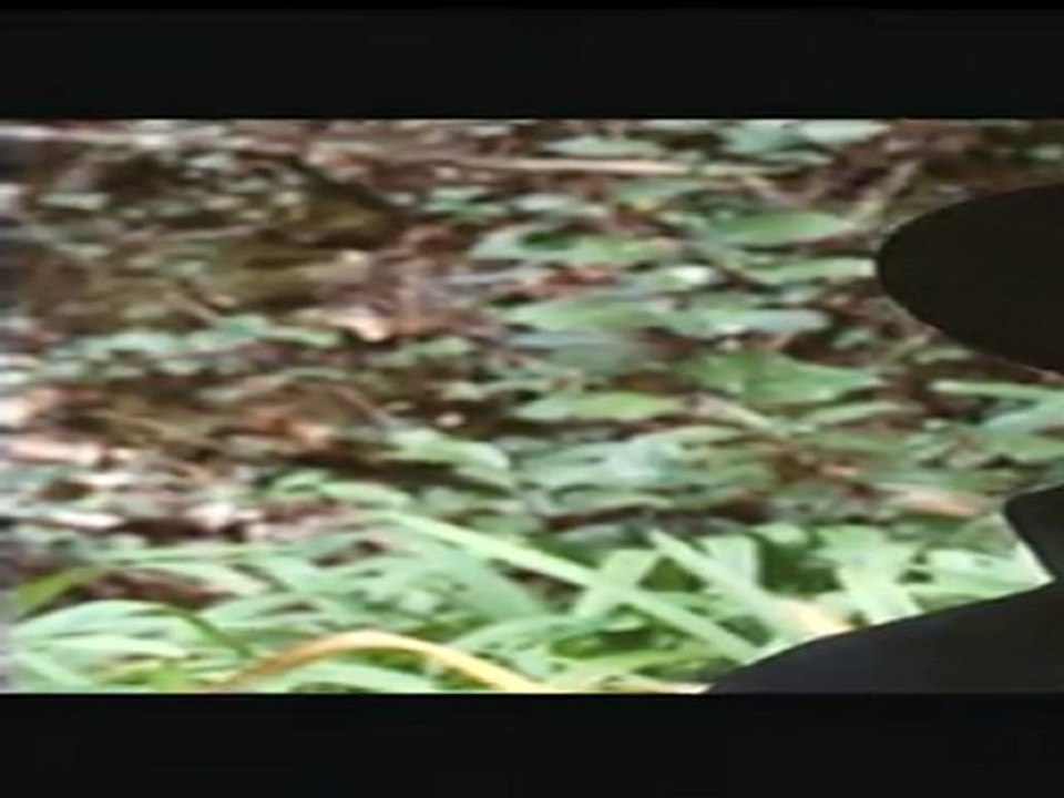 COMBAT D'AMOUR EN SONGE - Bande-annonce VF